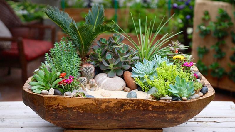 Một vài chậu Sen Đá Trắng nhỏ nhắn, lá mọng nước màu trắng xanh, đặt trên bậu cửa sổ, biểu trưng cho sự bền chặt, may mắn và vẻ đẹp tinh khiết, rất hợp người mệnh Thuỷ.